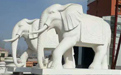 石雕大象適合擺放在哪里？